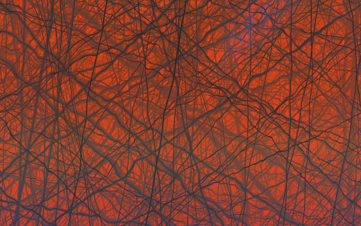 693041 (a): :2560x1600